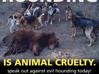 Act for Nevada Bears!