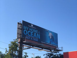 Anti-dolphin captivity campaign in Gulfport, MS