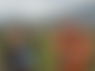 Viñedo orgánico en Chile donde los animales trabajan en la viña