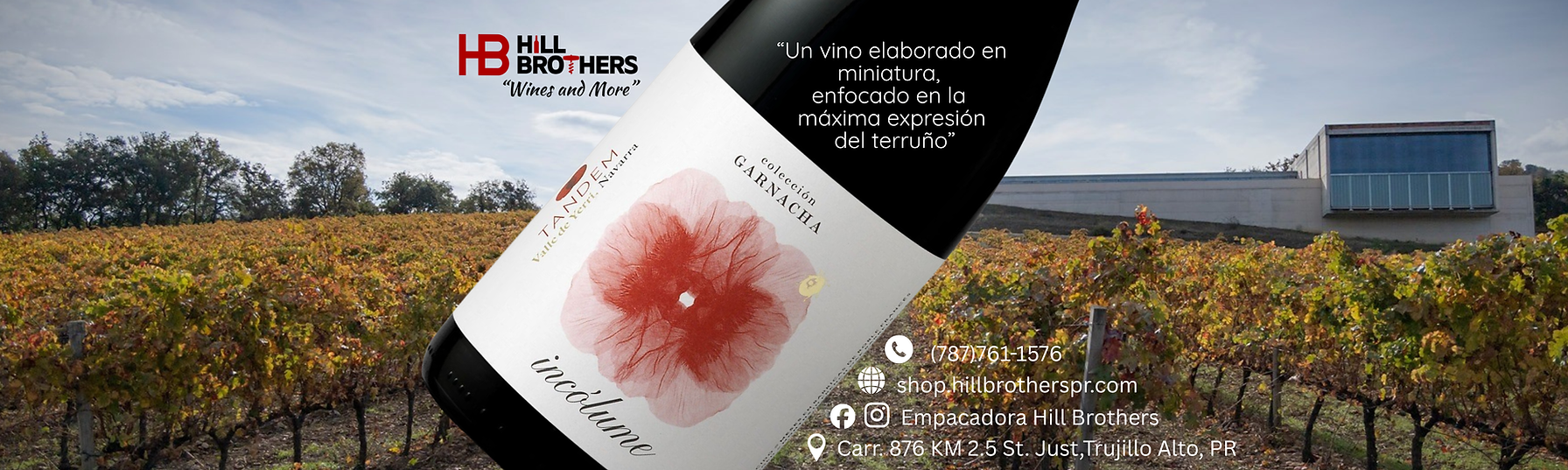 Hill Brothers "Wines and More" Icólume, Garnacha. Un vino elaborado en miniatura, enfocado en la máxima expresión del terruño.