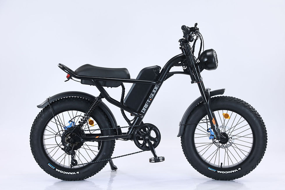 Thumbnail: EMB009 New Design 750W Mountain Electric Bicycle Out Door With Fat Tire 20''Ebik