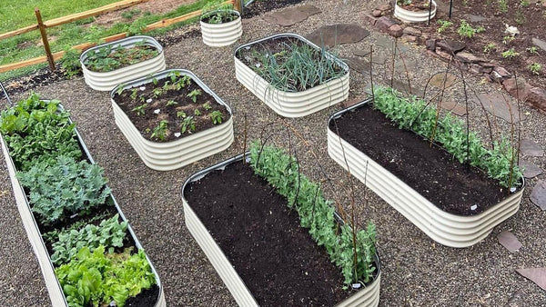 Thumbnail: Personalized Garden Coaching