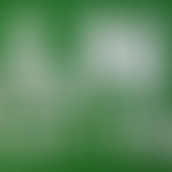 Allium Organics - Proud sponsor of Alne Street Fayre