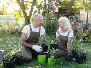 Why Gardening Hurts Every Spring (And Why It’s Not Your Back’s Fault)