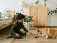 Pets Need Water, Too!