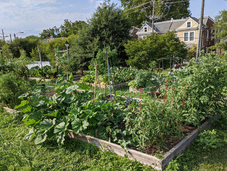Community Garden Sign-Up Link and Update on Capacity