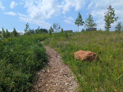 Park Construction and Community Garden Updates, Recap of Open Streets and More