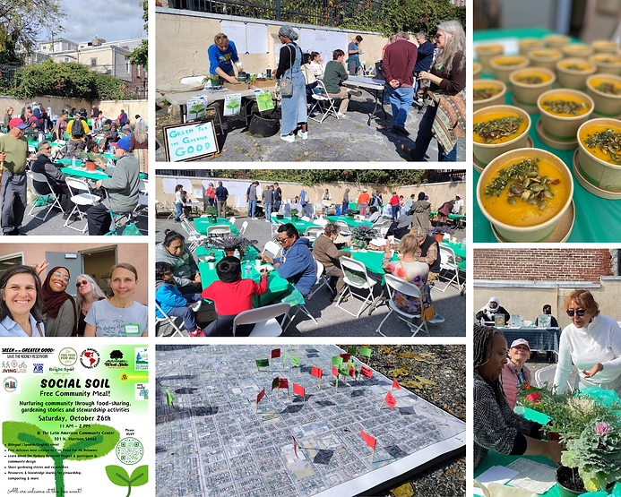 social soil collage Fall 2024.png
