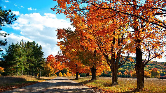 09.15.2020 - AUTUMN - BACKGROUND.jpg