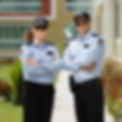 security-services-special-events-retail-commercial-residential-vip.jpg