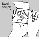 fobt.gif