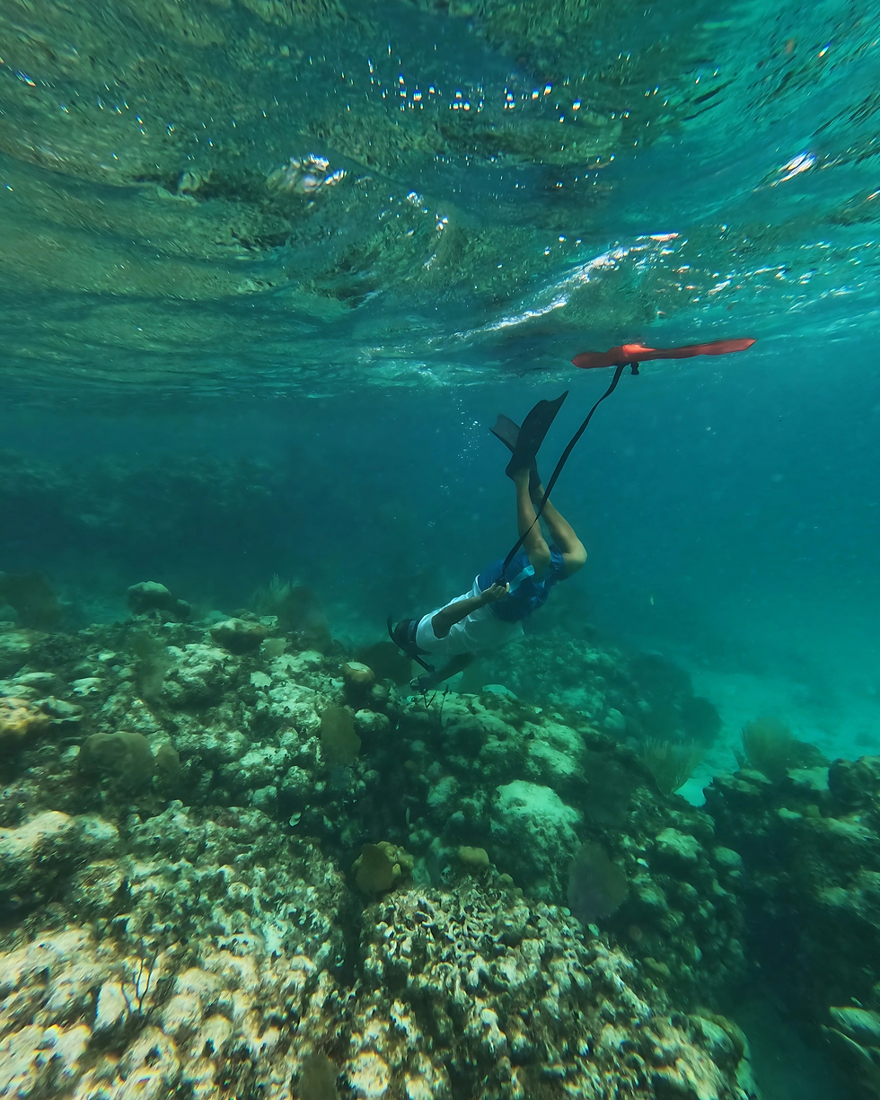 A professional guide taking a close-up shot at the Coral Gardens dive & snorkel site.