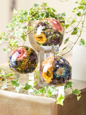 Bloempreparatie Nederland