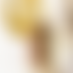 Préparation de fleurs aux Pays-Bas, faites livrer facilement vos fleurs par la poste