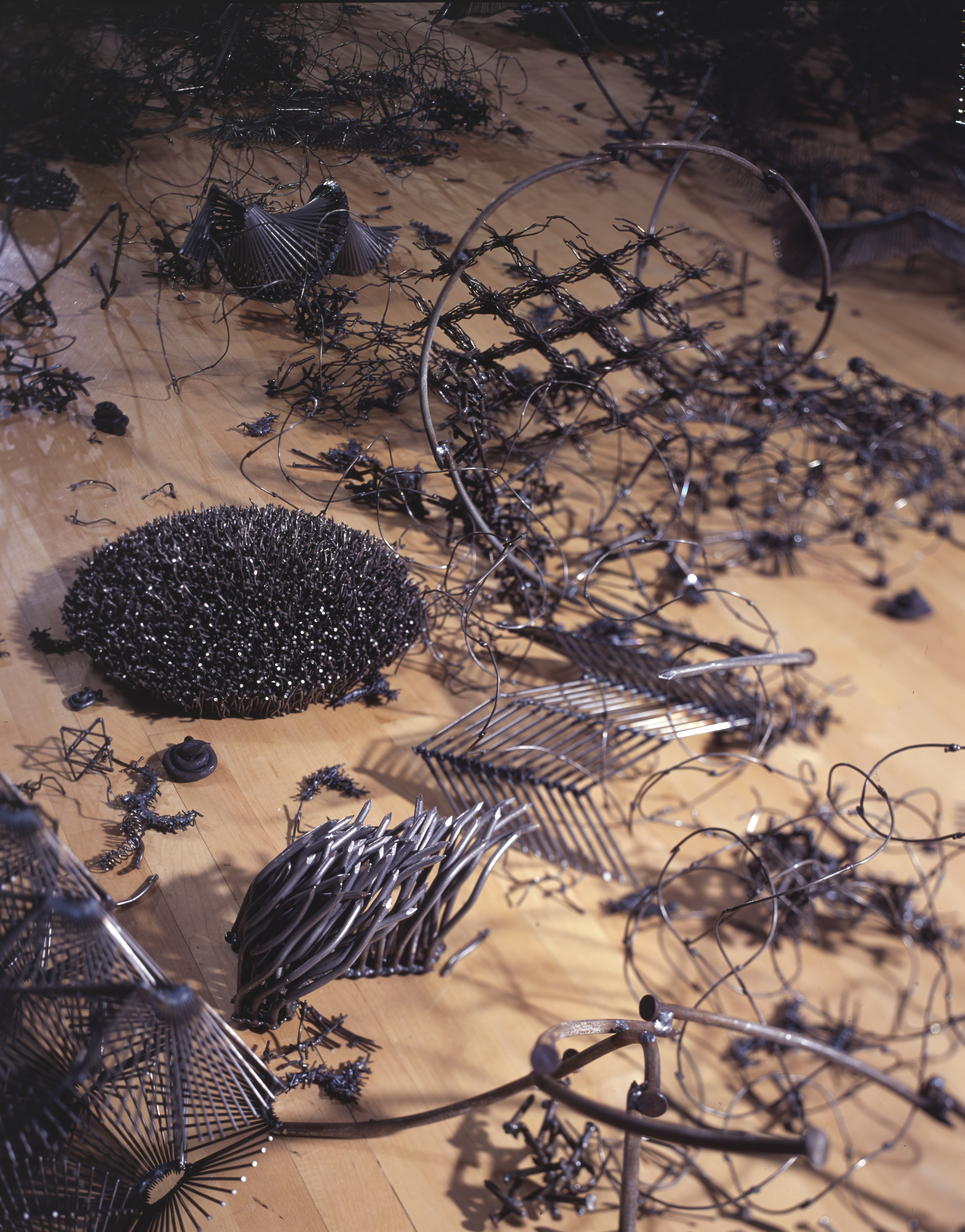 Field (detail)