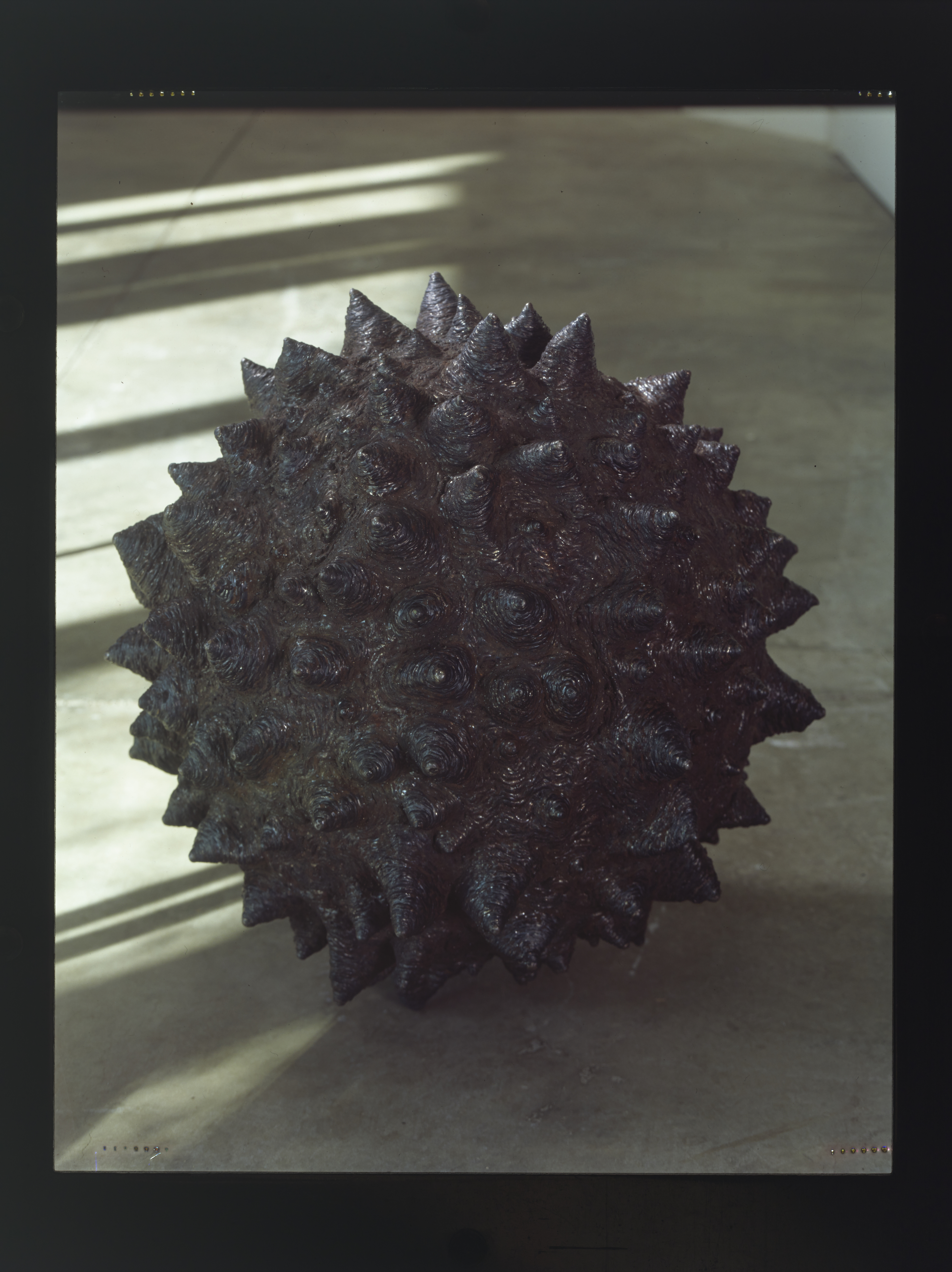 Nipball