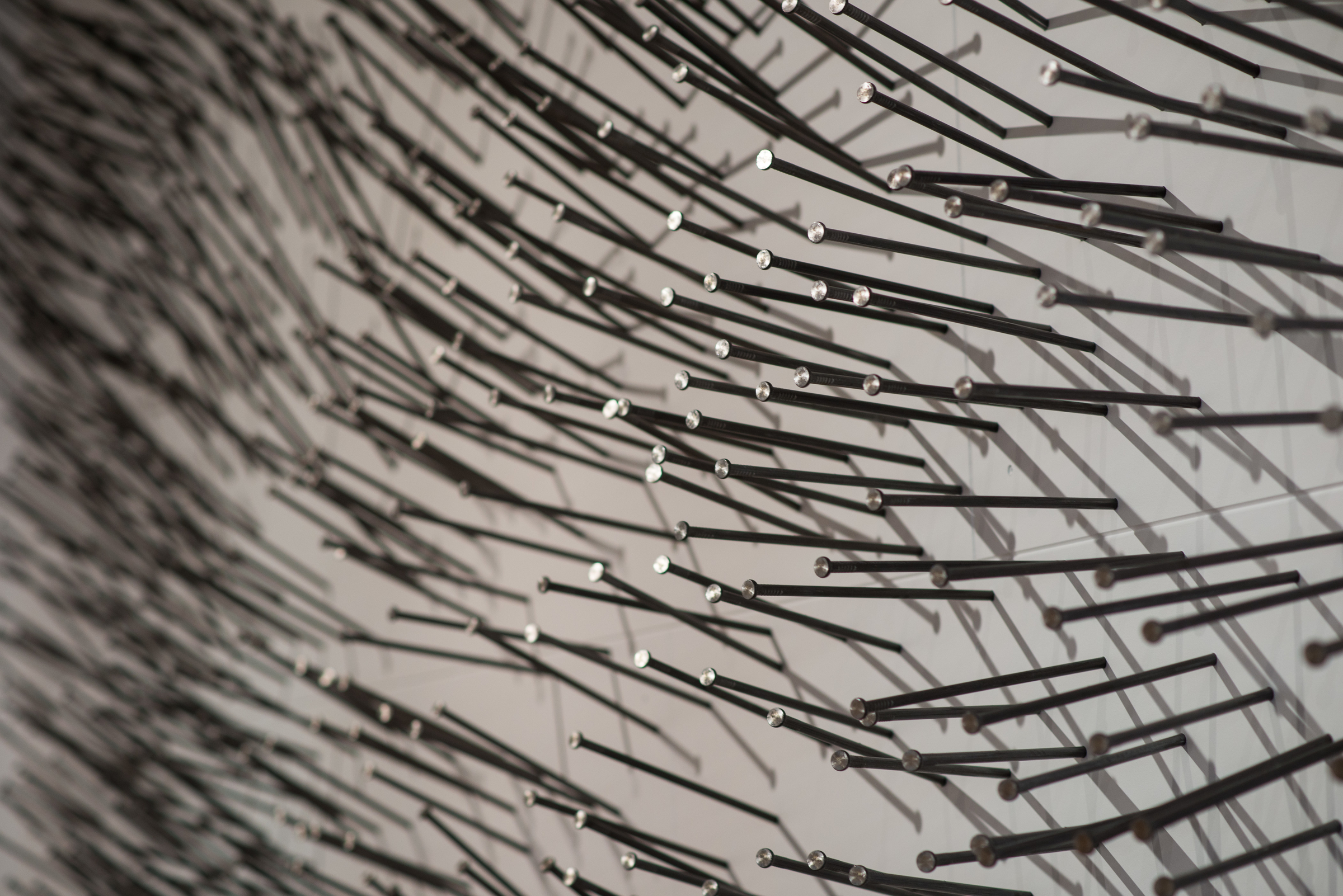 Pelt (detail)