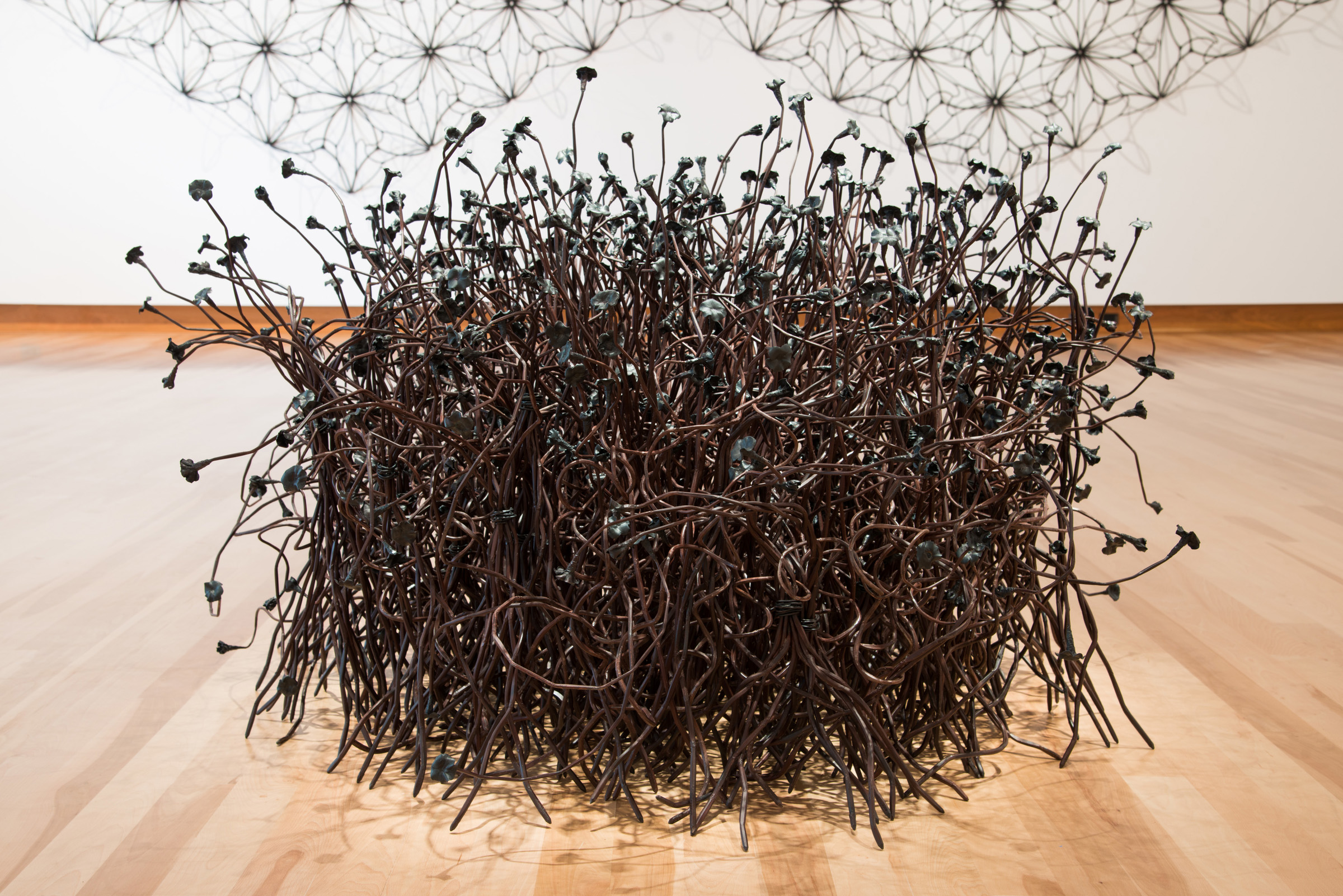 Thicket