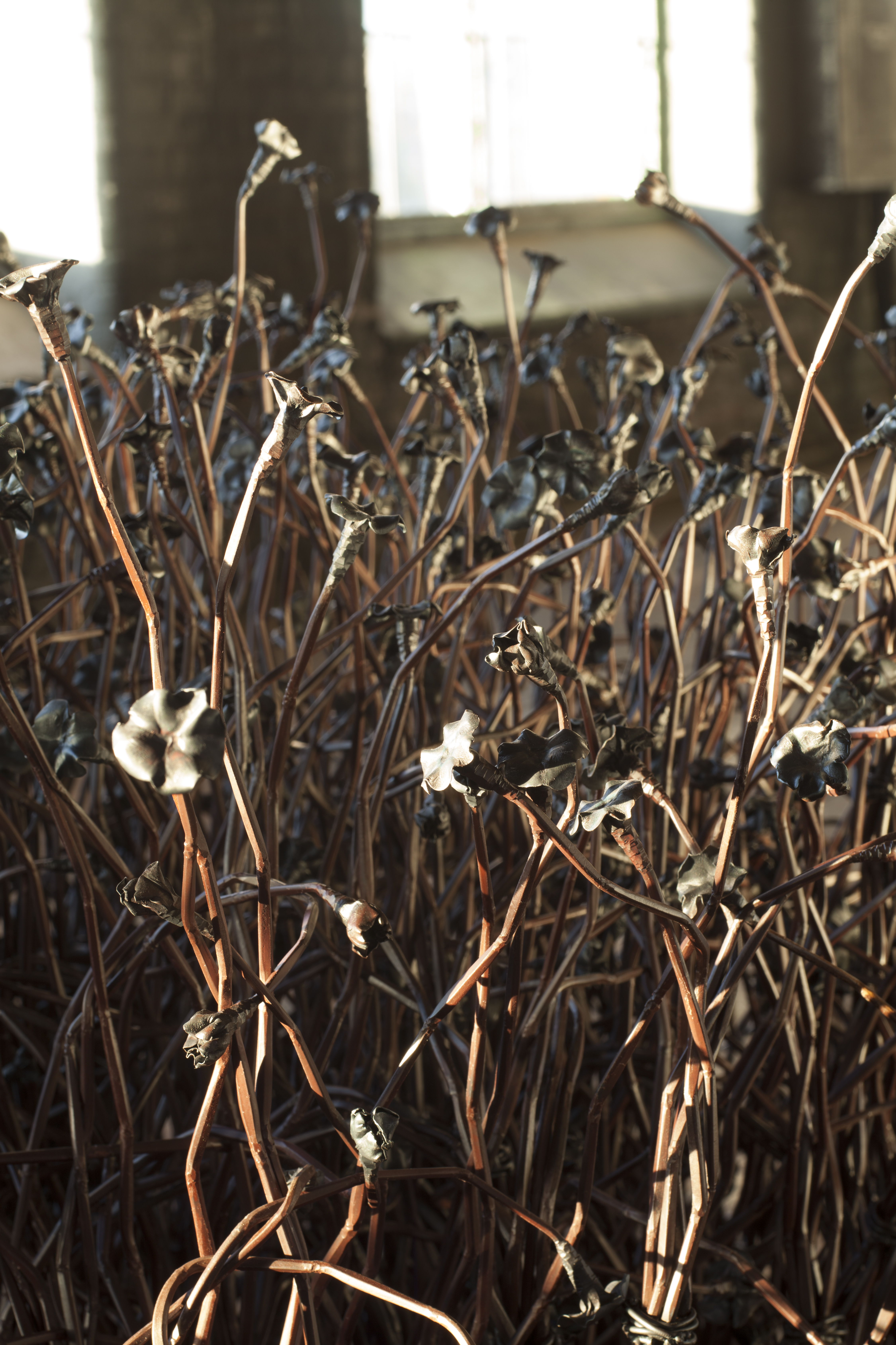 Thicket (detail)