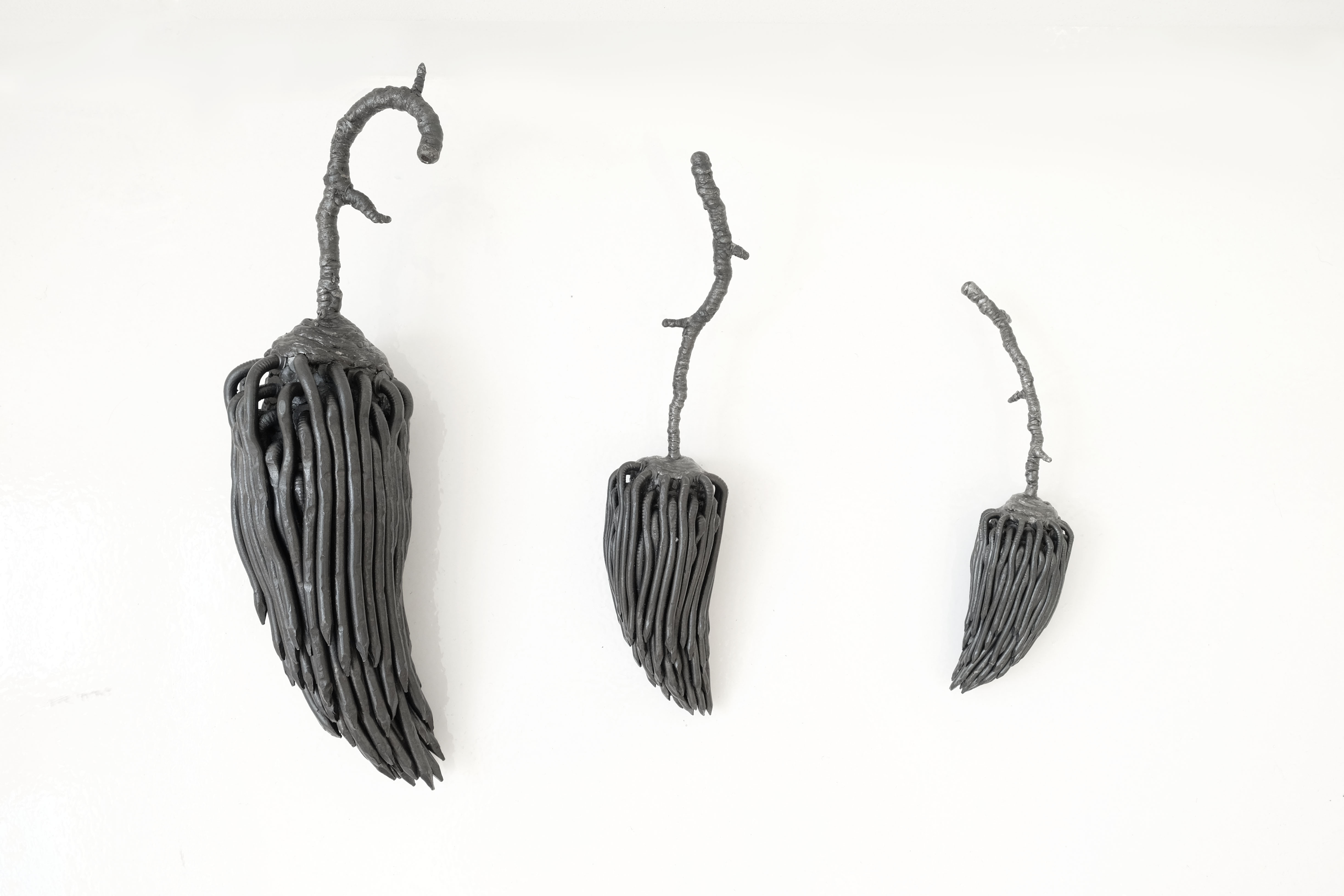 Pods