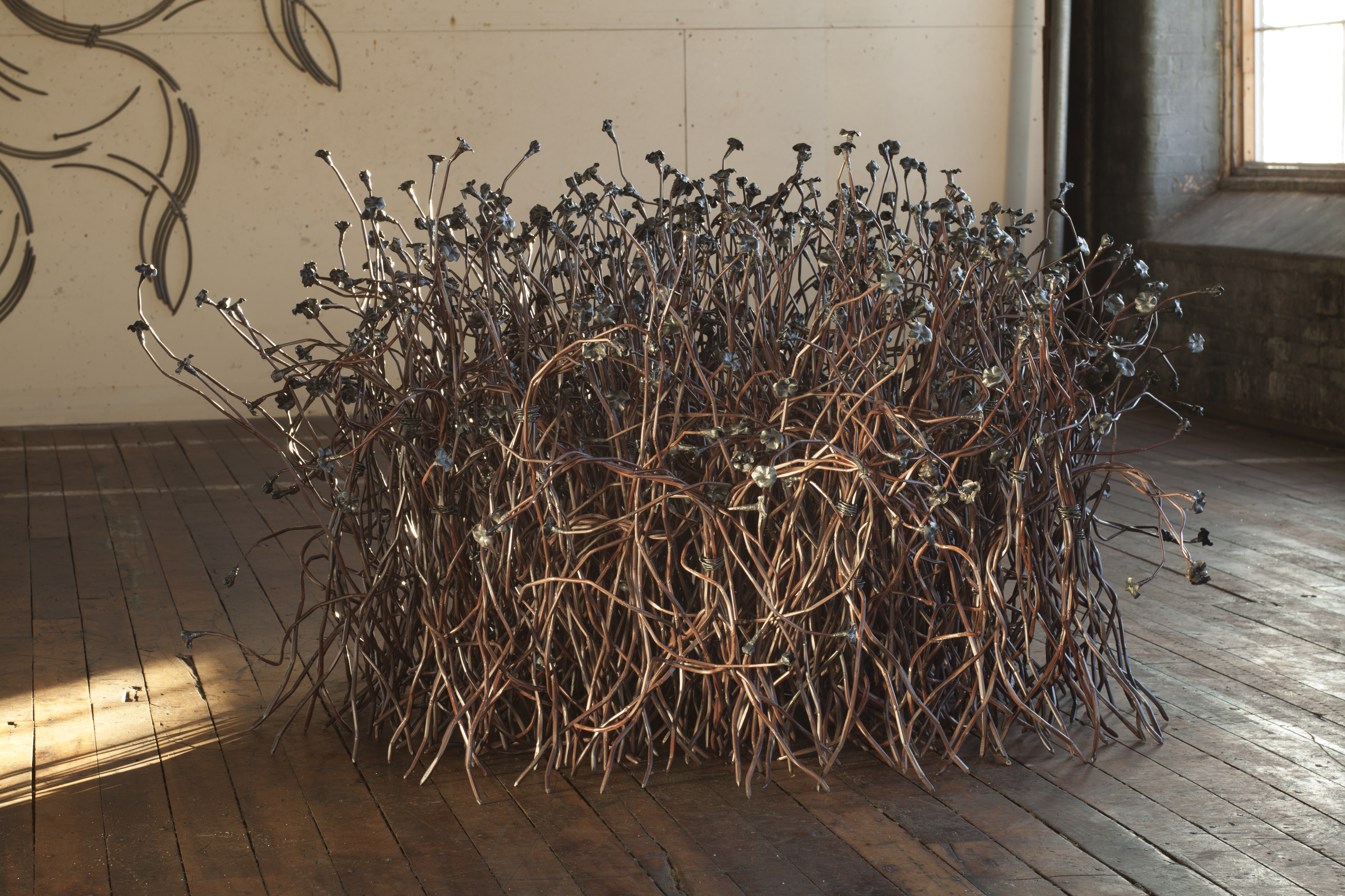 Thicket