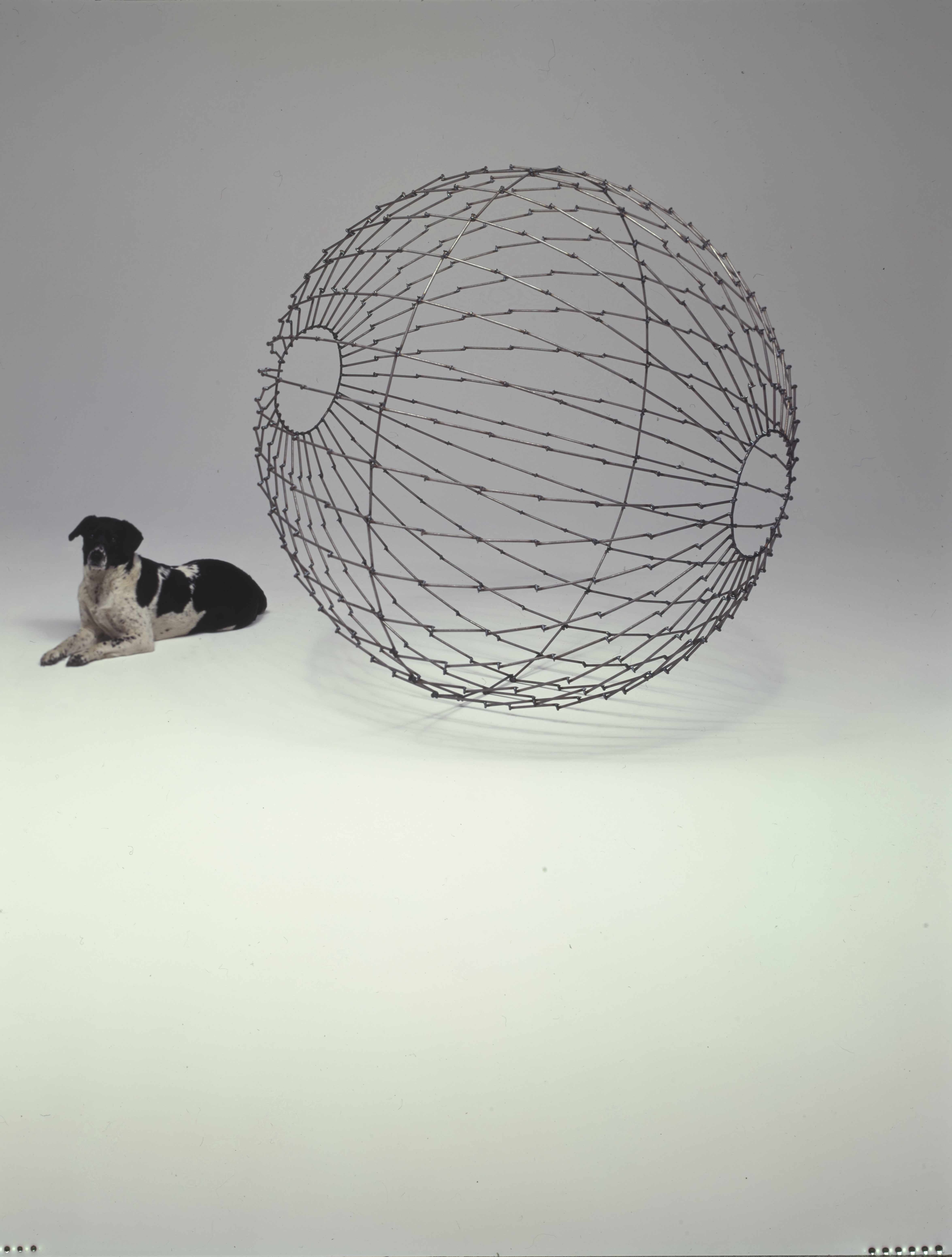 Orbital