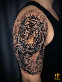 Sentinel Tiger 
