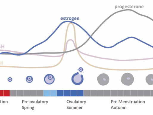 Introduction to your reproductive hormones