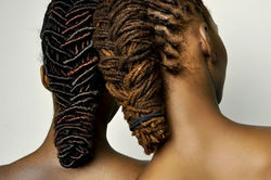 Image by Autumn Goodman