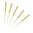 ACUPUNTURA.png