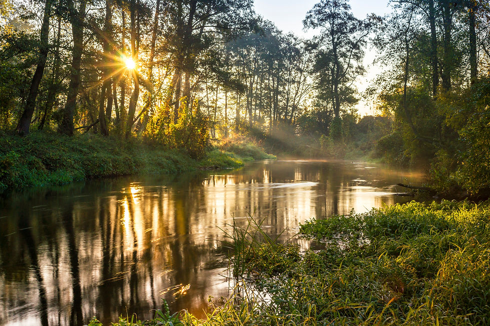 Rzeka Rawka