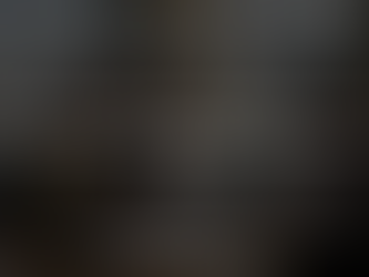 Professionals reviewing renovation alternatives in office