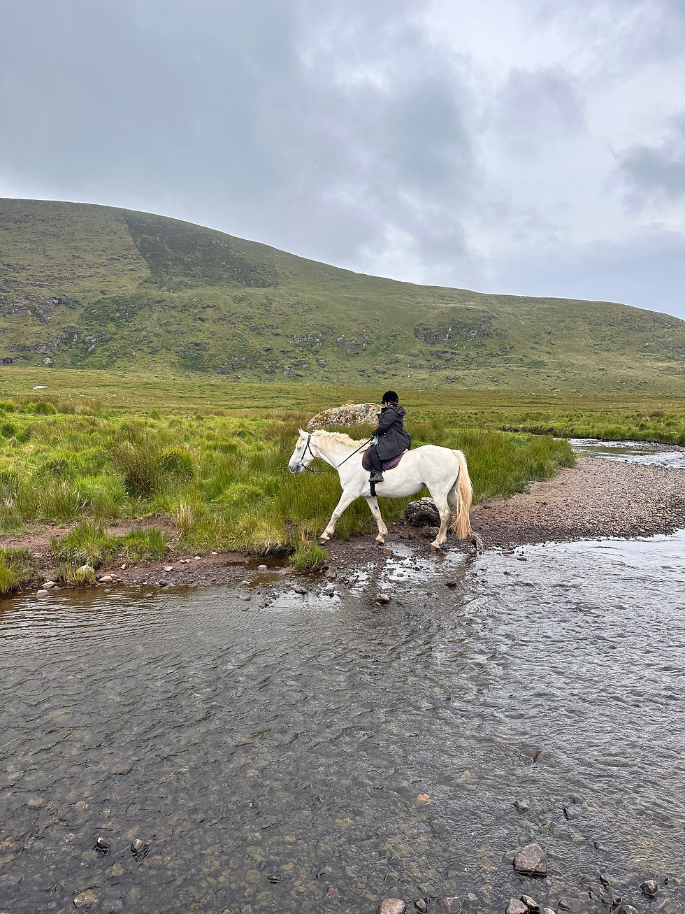 A Week in the Kingdom of Kerry