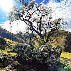 Hike & Picnic