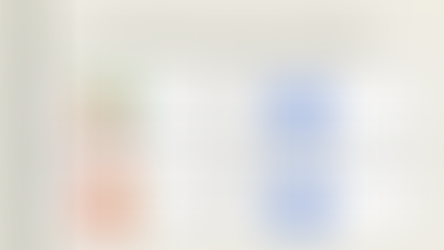 A presentation slide on pet app