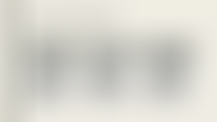 A presentation slide on pet app