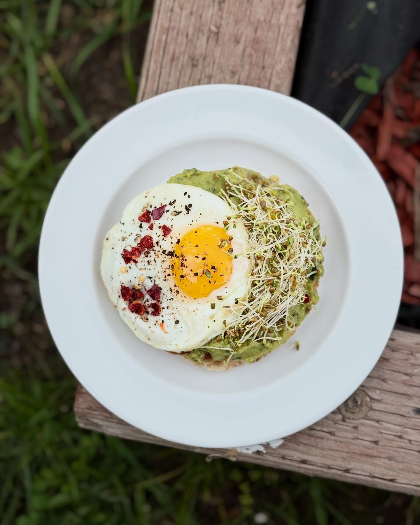 Bagel With Guacamole And Egg