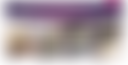 Marketing Presentation Slides For Wayfair