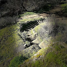 Hike & Picnic