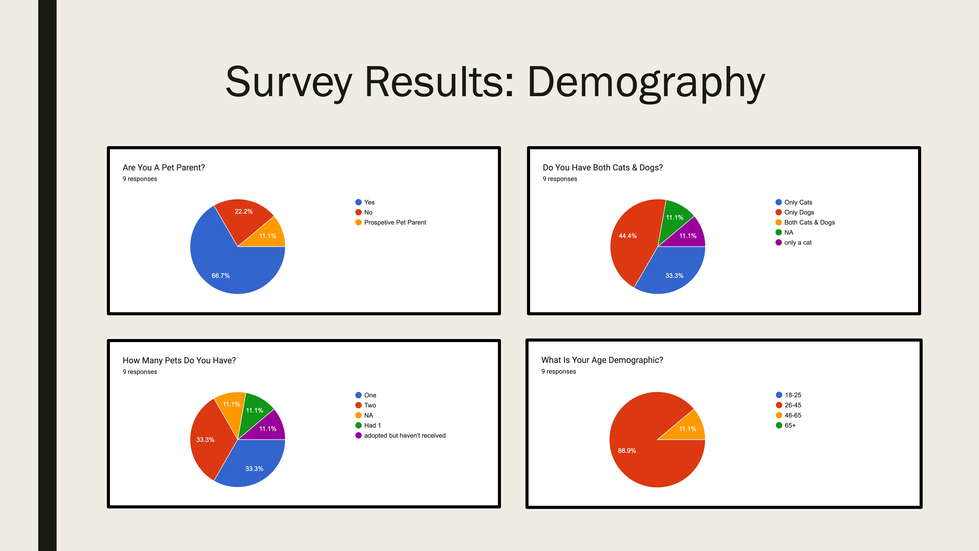 A presentation slide on pet app