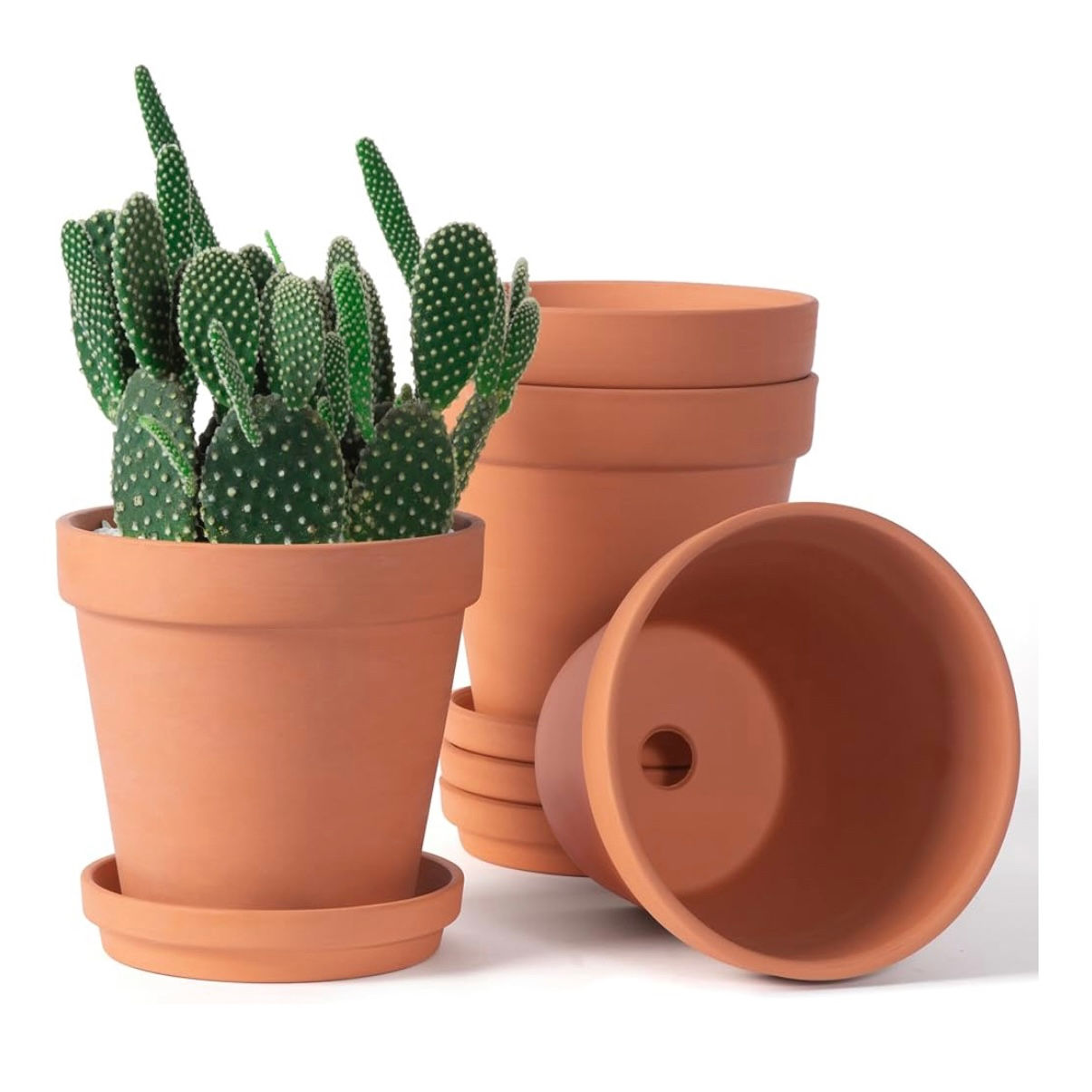 Terracotta Pots