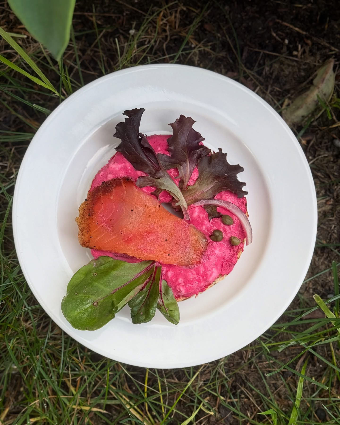 Bagel With Beet Cheese, Lettuce, Lox