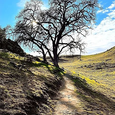 Hike & Picnic