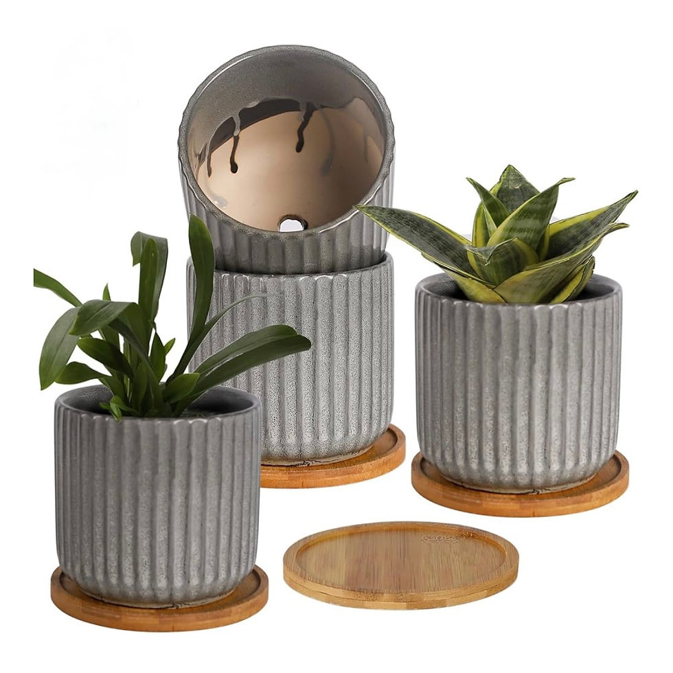Ceramic Planters With Bamboo Saucer