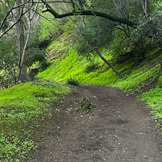 Hike & Picnic
