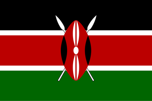 Adopting Agent Model to Expand KRA’s Reach, Deepen Tax Compliance Among Small Taxpayers