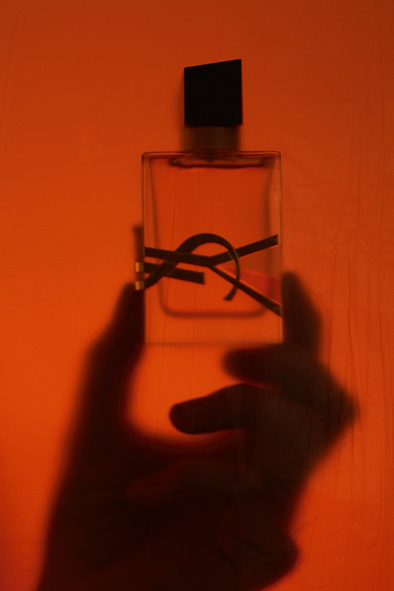 VOGUE&YSL_ALL.gif