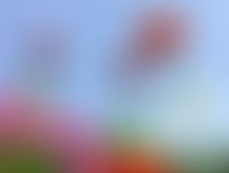 ことばのリボン「涙の奥」