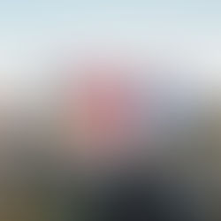 Festival Season Returns & Live Music Lives On