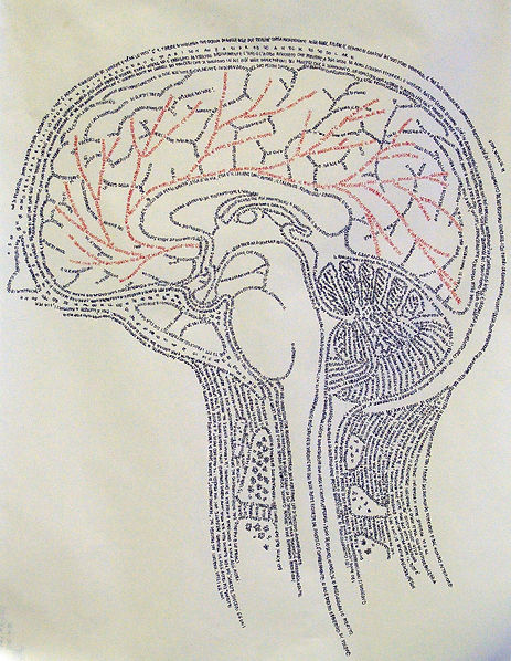 brain.jpg